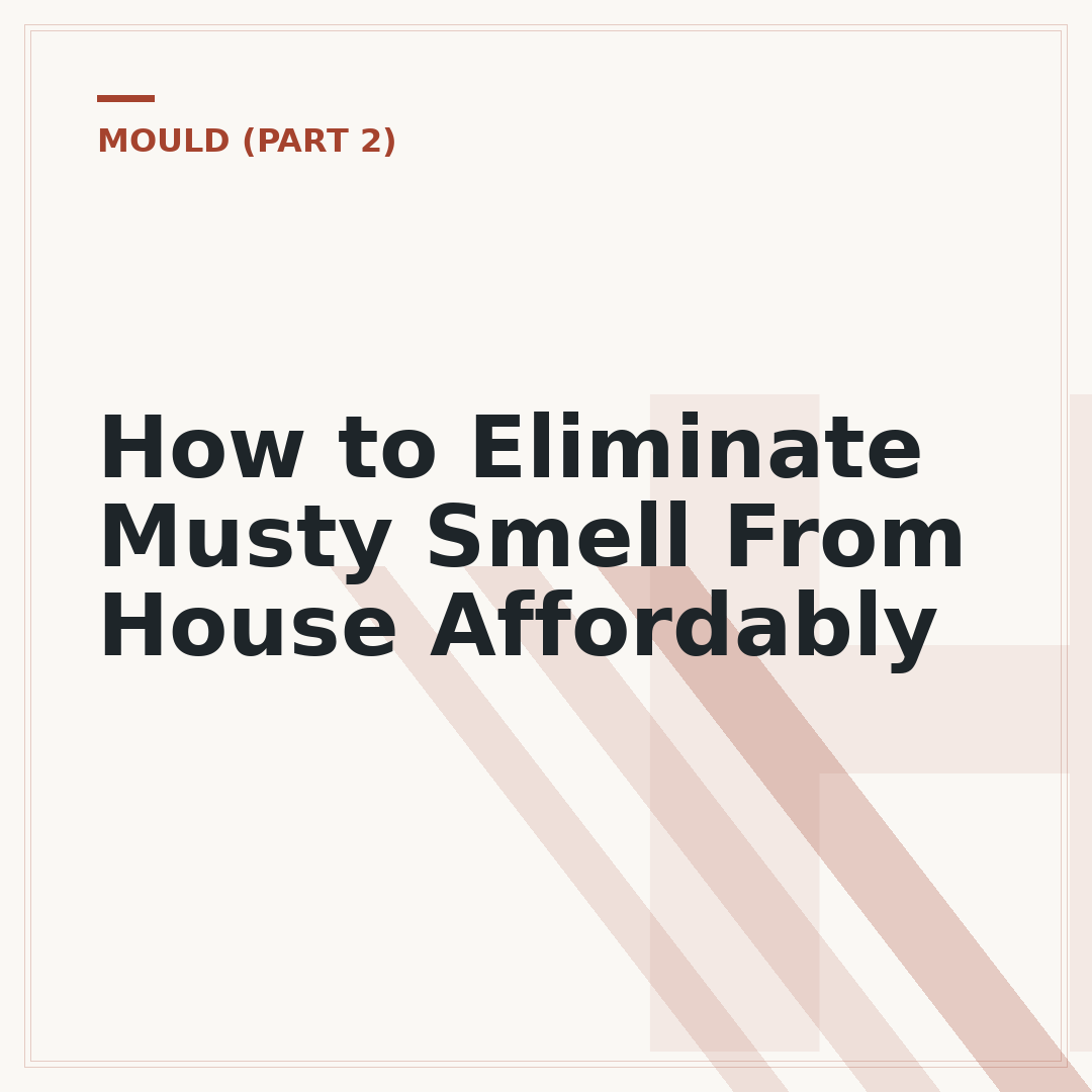 How to Eliminate Musty Smell From House Affordably