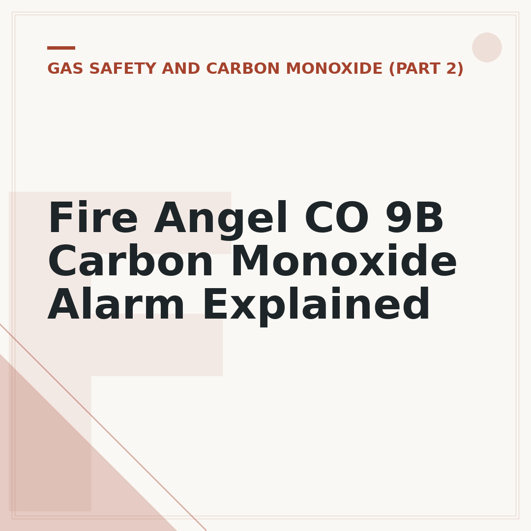 Fire Angel CO 9B Carbon Monoxide Alarm Explained