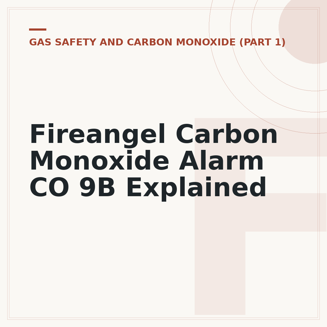 Fireangel Carbon Monoxide Alarm CO 9B Explained