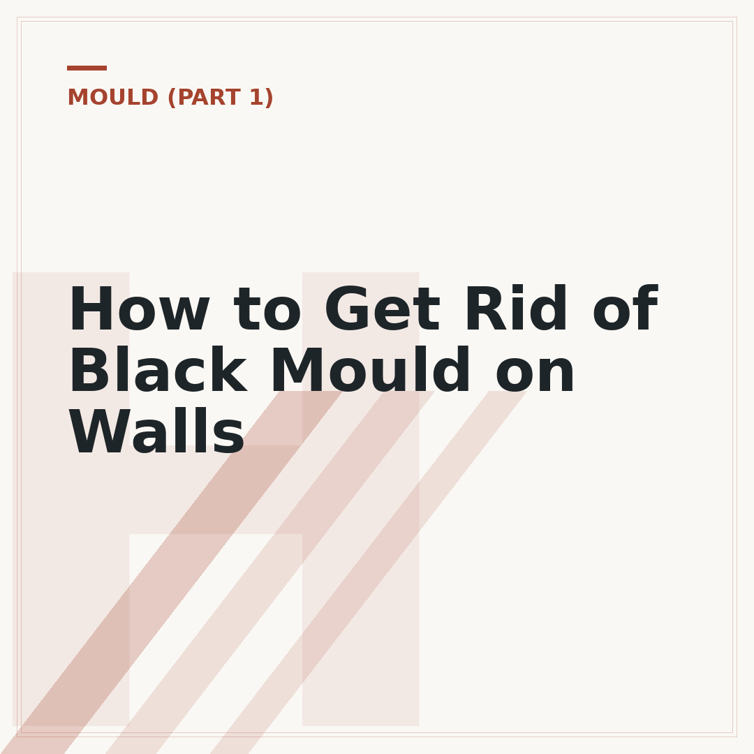 How to Get Rid of Black Mould on Walls
