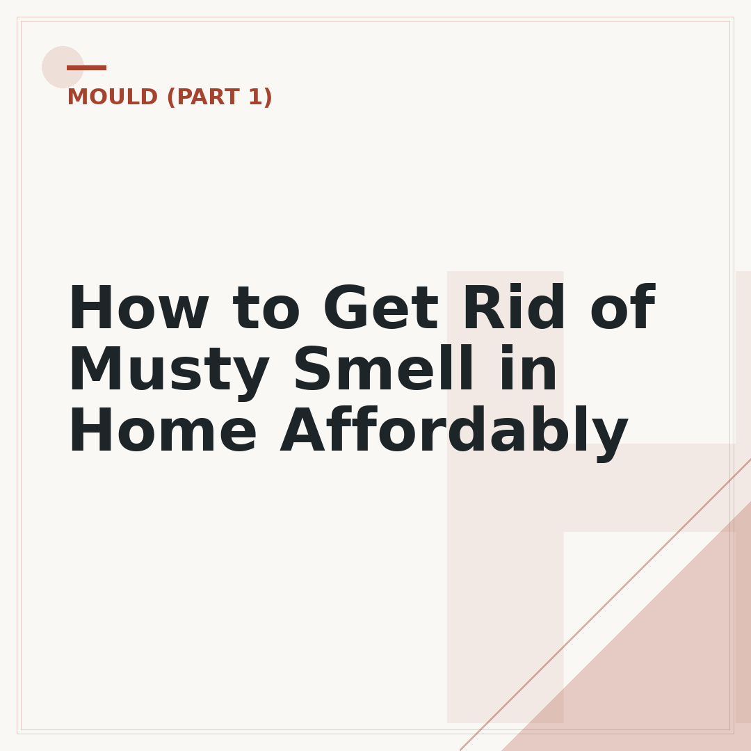 How to Get Rid of Musty Smell in Home Affordably