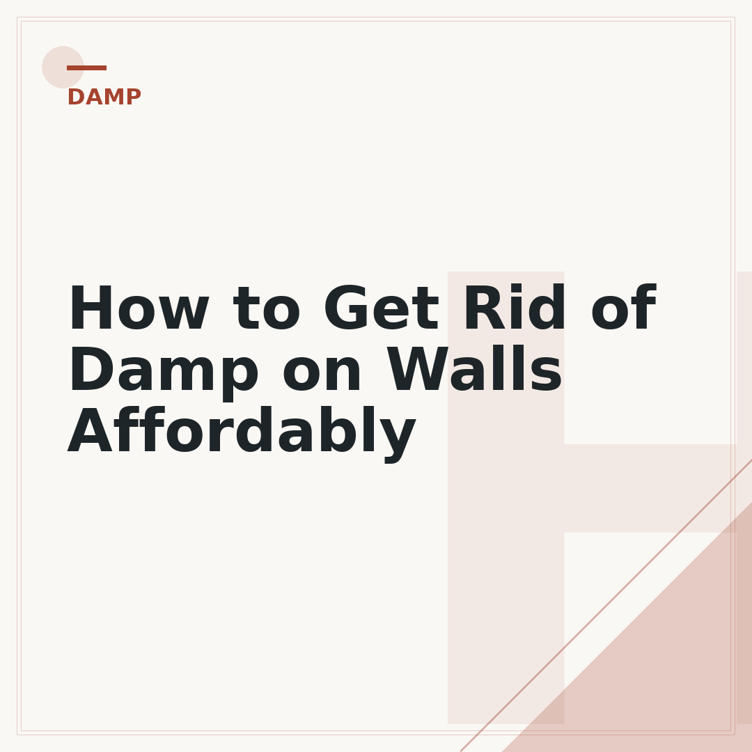 How to Get Rid of Damp on Walls Affordably