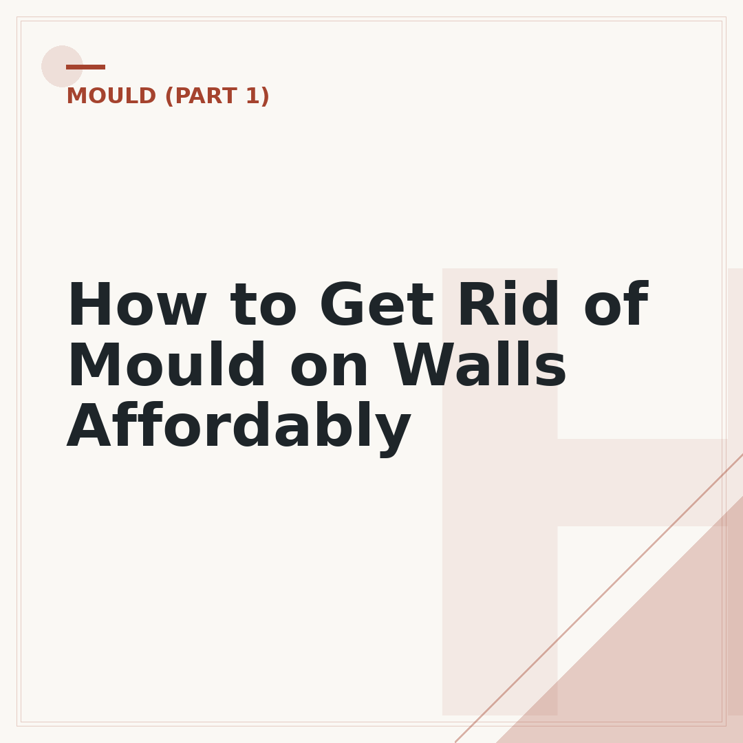 How to Get Rid of Mould on Walls Affordably