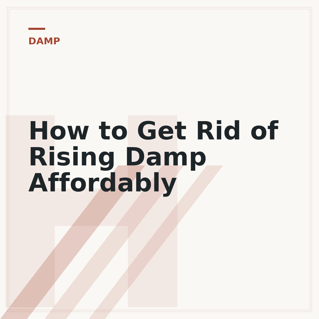 How to Get Rid of Rising Damp Affordably