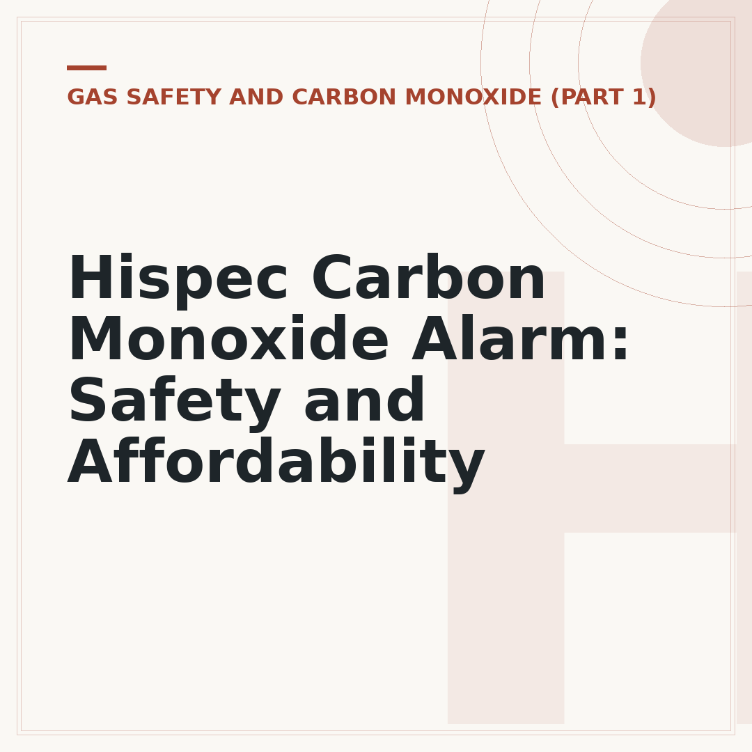 Hispec Carbon Monoxide Alarm: Safety and Affordability