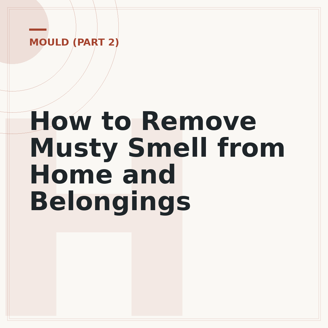 How to Remove Musty Smell from Home and Belongings