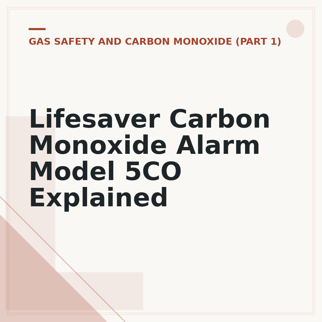 Lifesaver Carbon Monoxide Alarm Model 5CO Explained