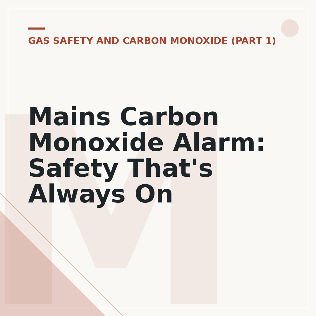 Mains Carbon Monoxide Alarm: Safety That's Always On