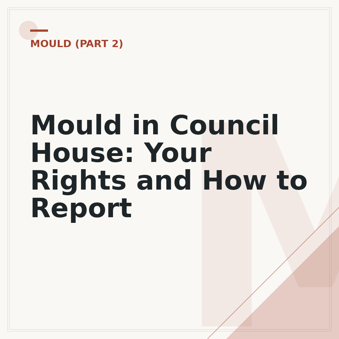 Mould in Council House: Your Rights and How to Report