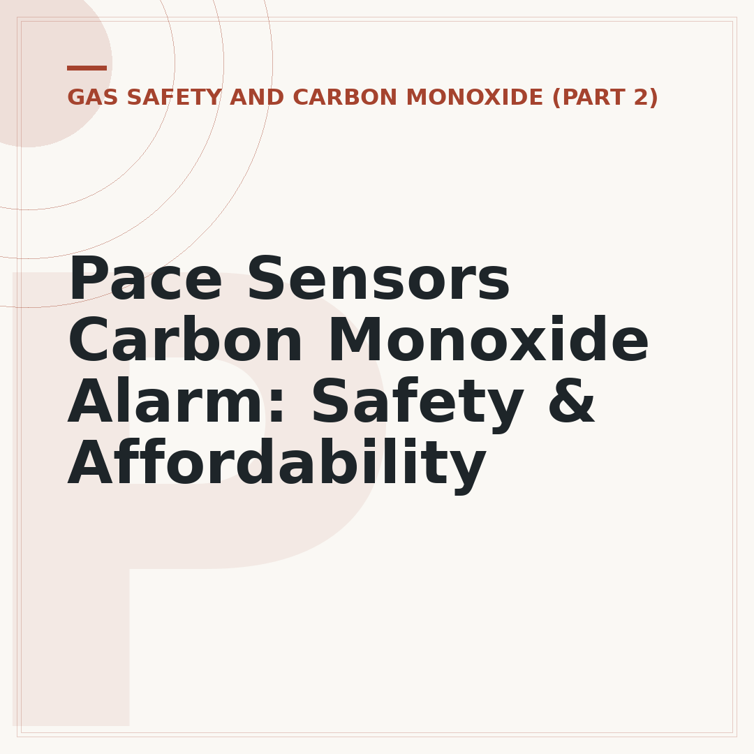 Pace Sensors Carbon Monoxide Alarm: Safety & Affordability