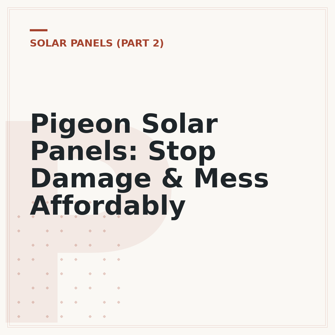 Pigeon Solar Panels: Stop Damage & Mess Affordably