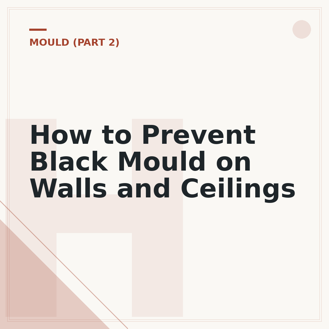 How to Prevent Black Mould on Walls and Ceilings