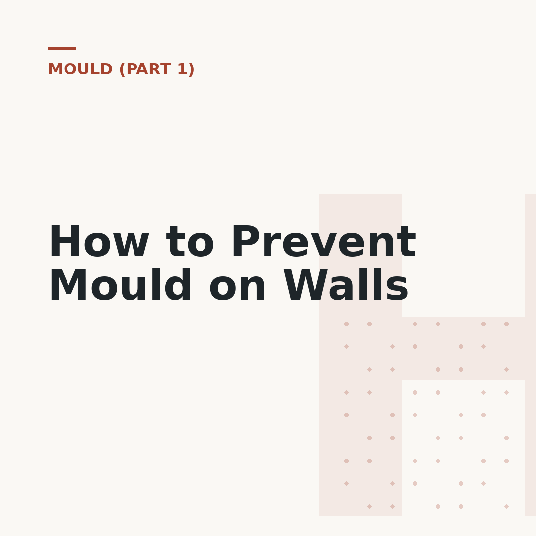How to Prevent Mould on Walls