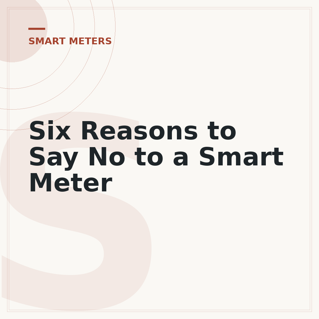 Six Reasons to Say No to a Smart Meter