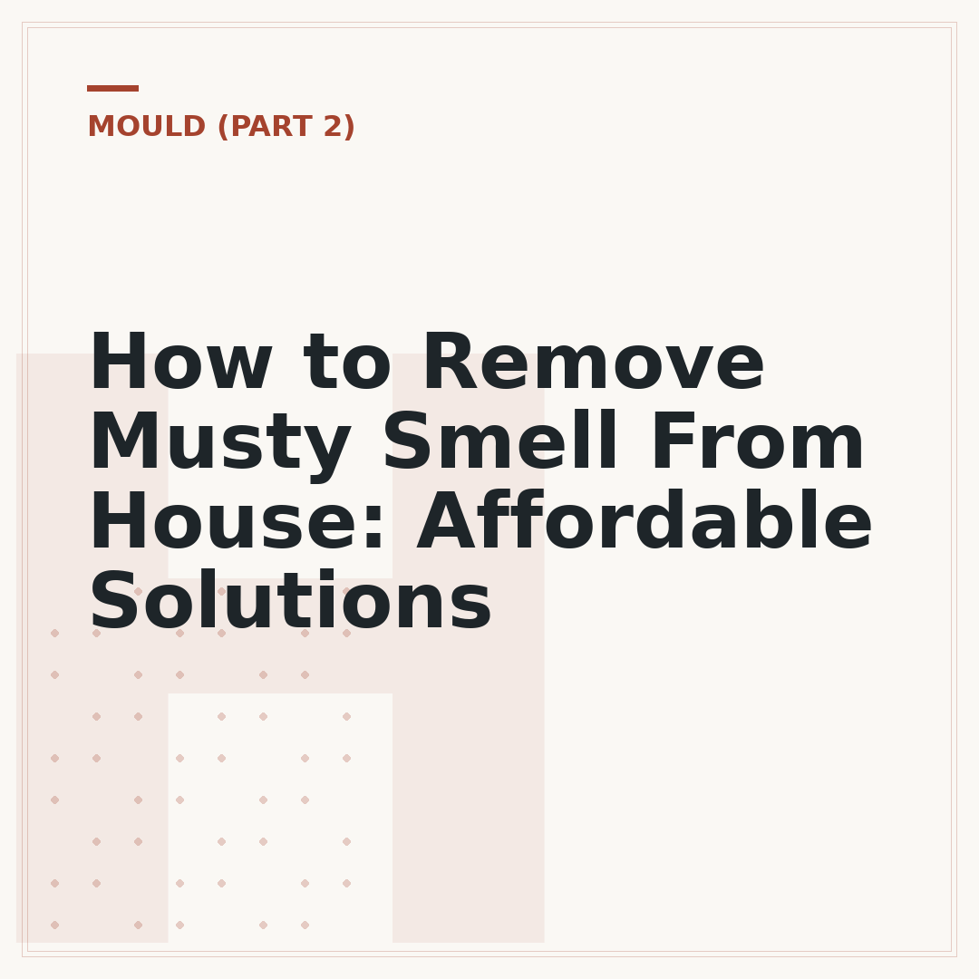 How to Remove Musty Smell From House: Affordable Solutions