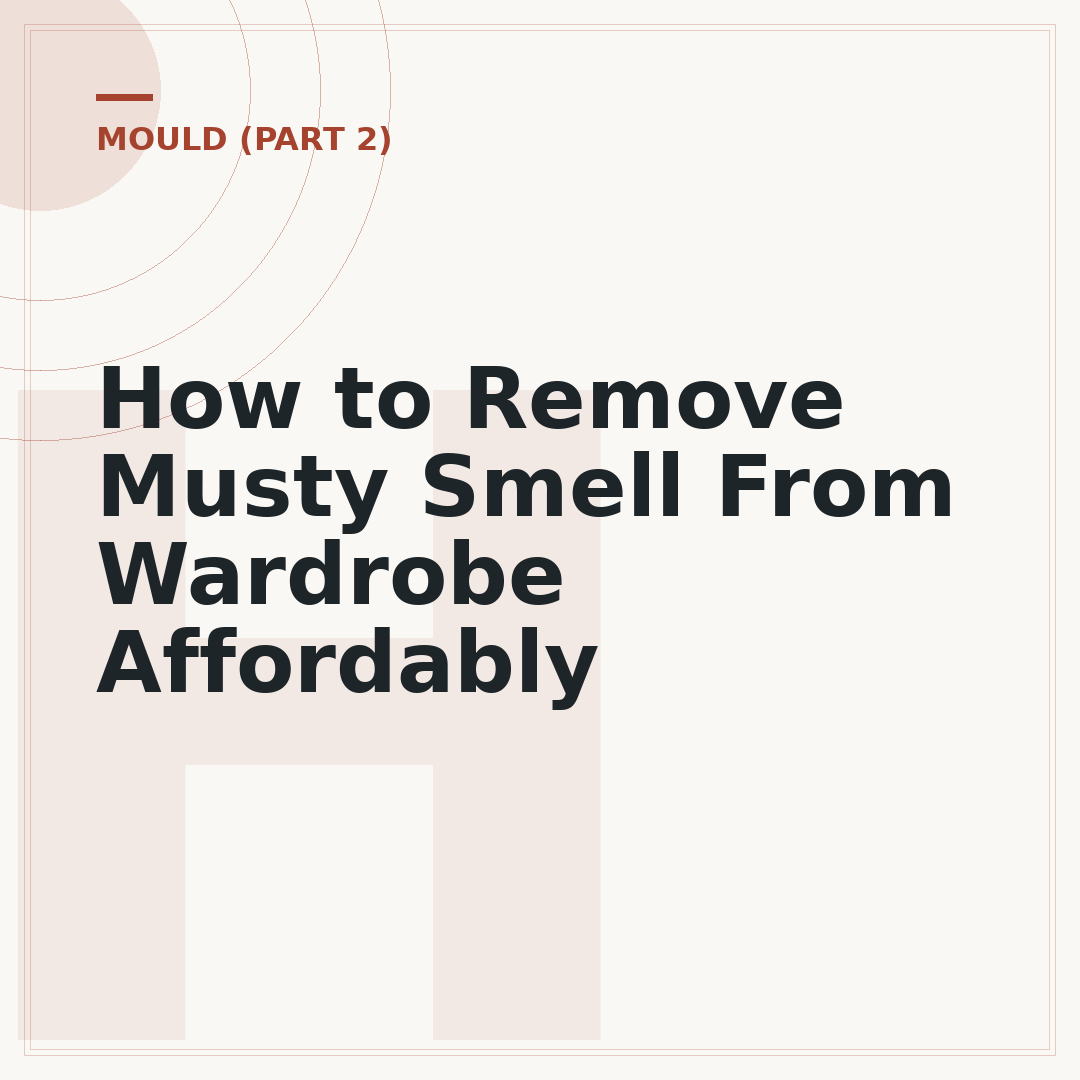 How to Remove Musty Smell From Wardrobe Affordably