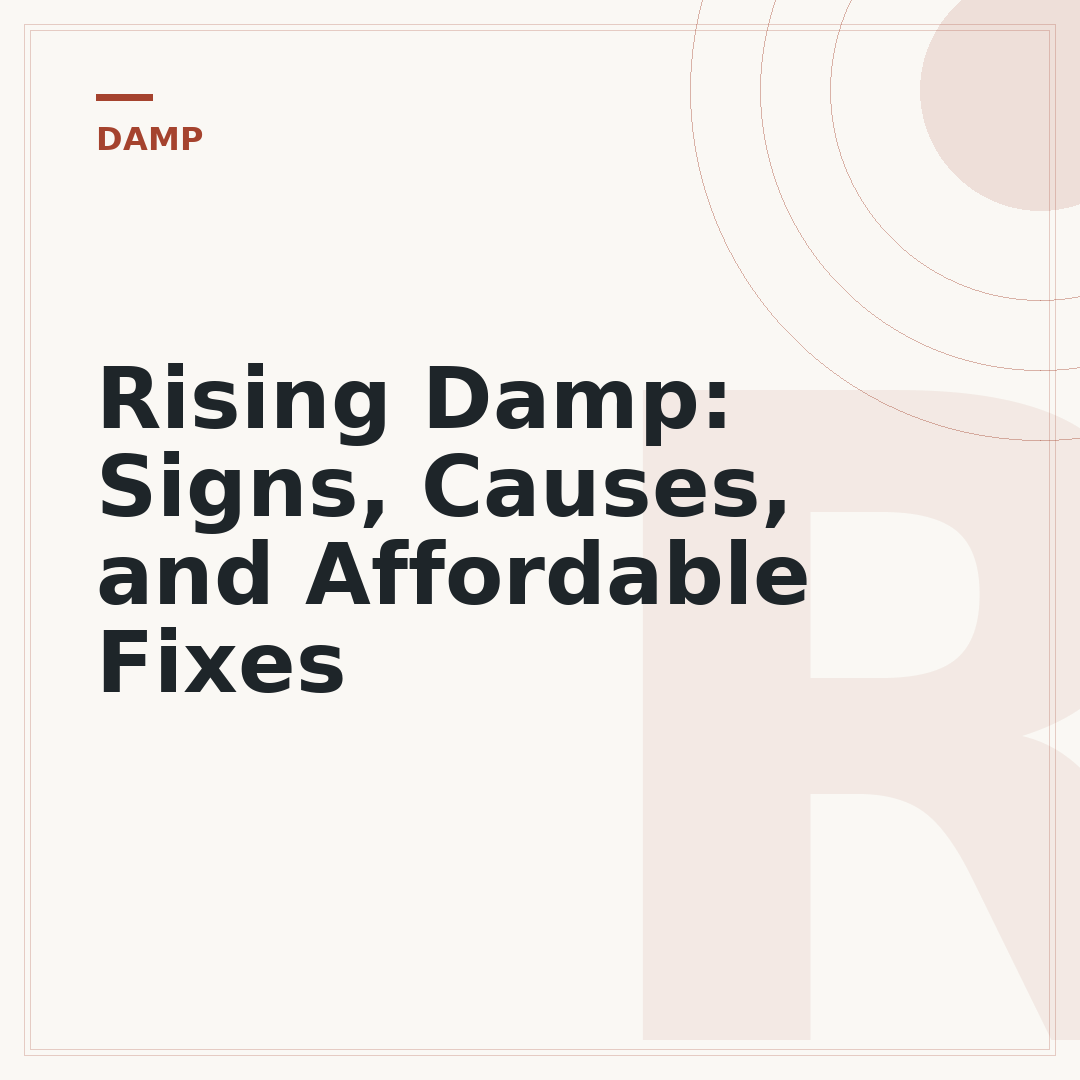Rising Damp: Signs, Causes, and Affordable Fixes