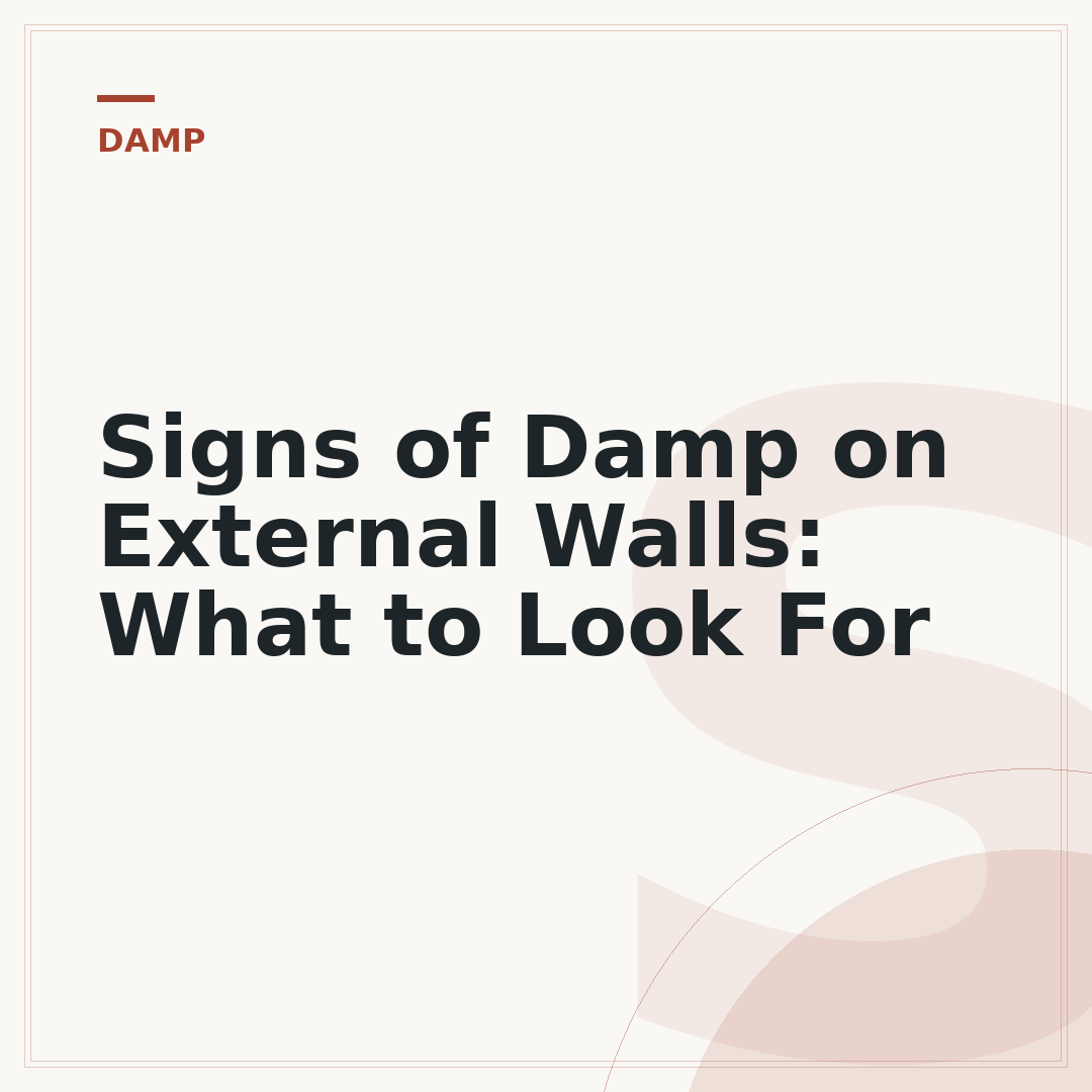 Signs of Damp on External Walls: What to Look For