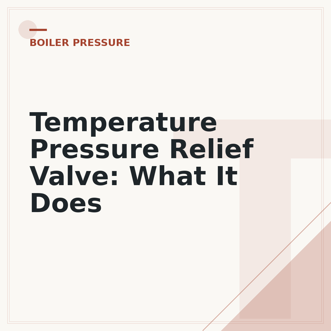Temperature Pressure Relief Valve: What It Does