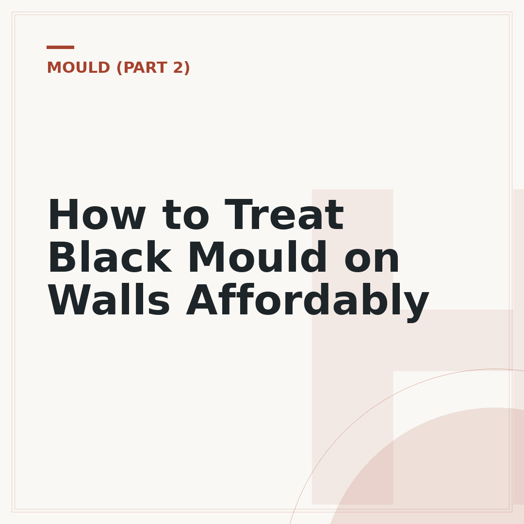How to Treat Black Mould on Walls Affordably