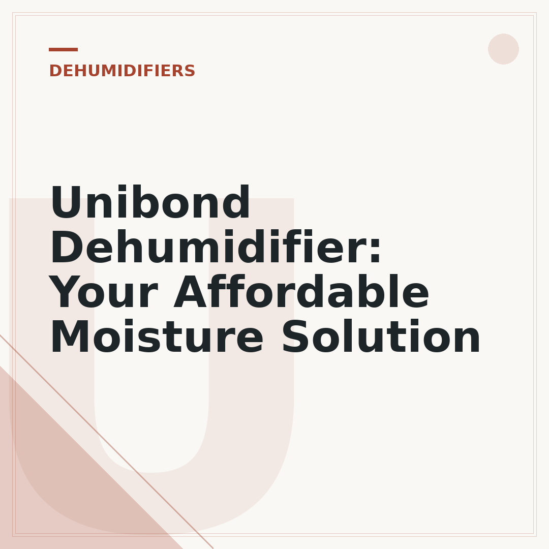 Unibond Dehumidifier: Your Affordable Moisture Solution