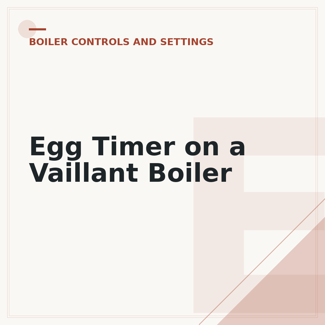 Egg Timer on a Vaillant Boiler