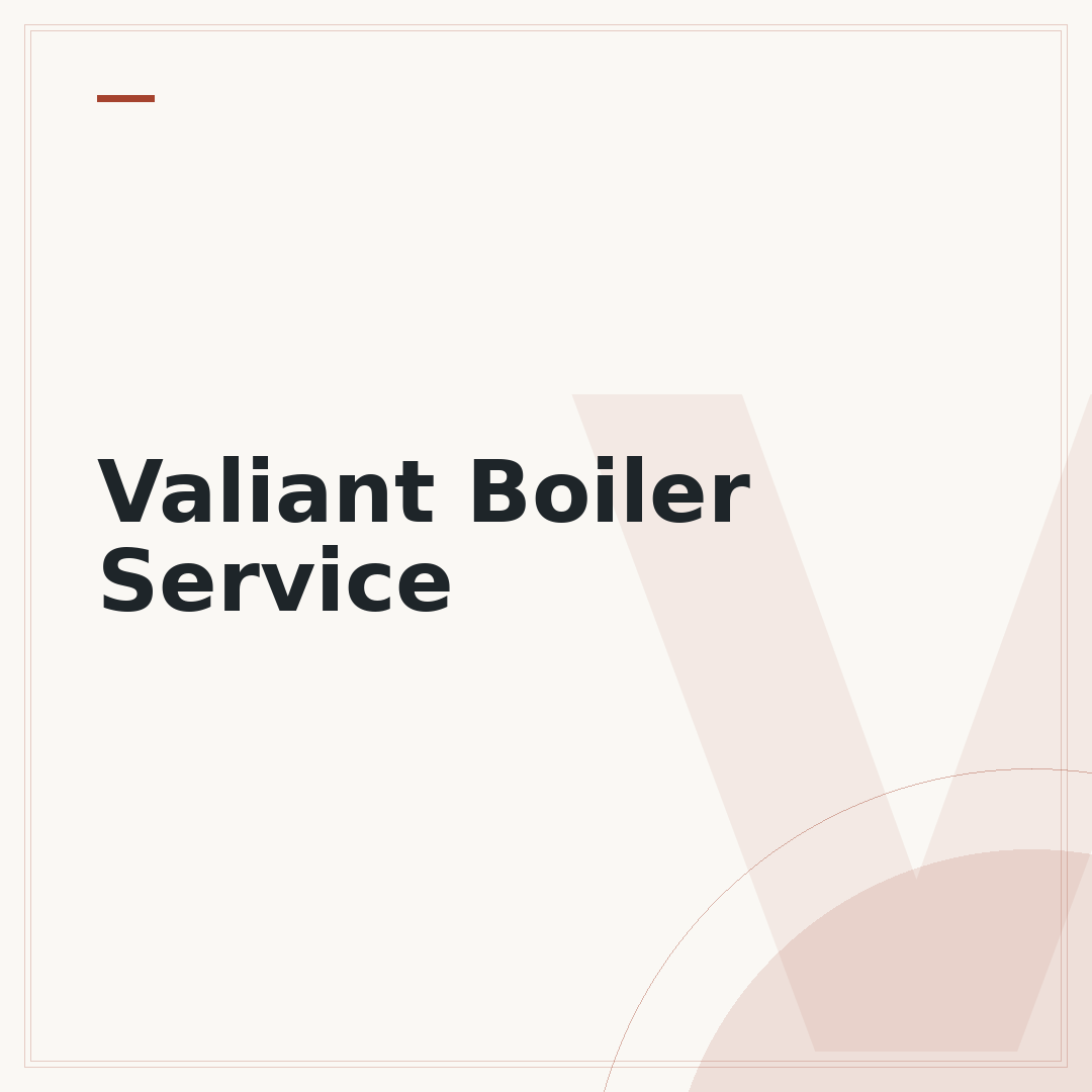Valiant Boiler Service