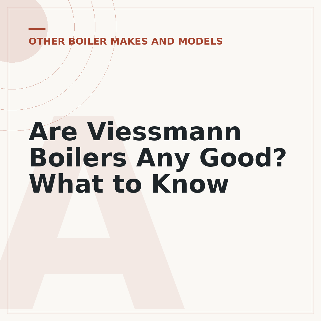 Are Viessmann Boilers Any Good? What to Know
