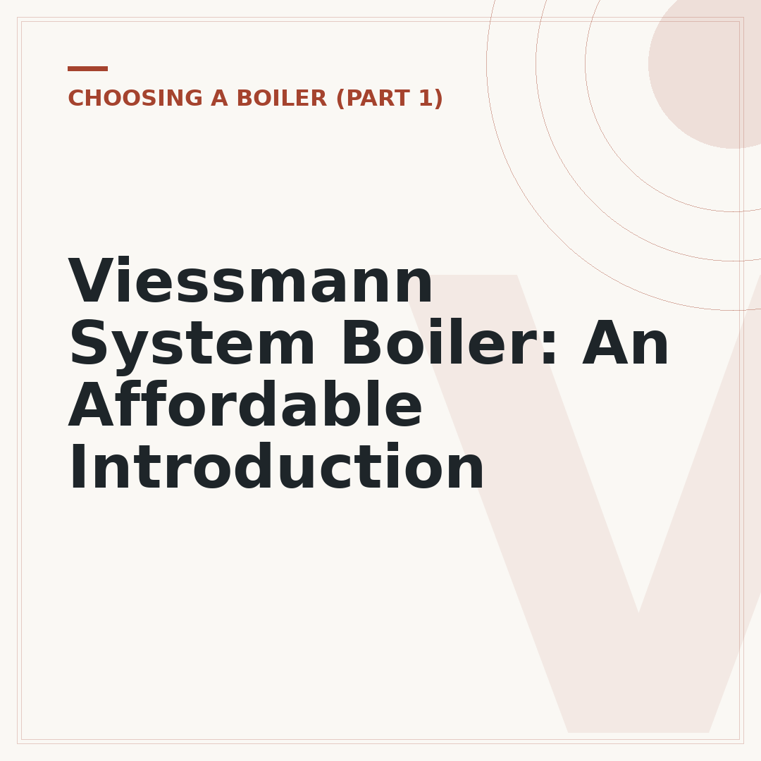 Viessmann System Boiler: An Affordable Introduction
