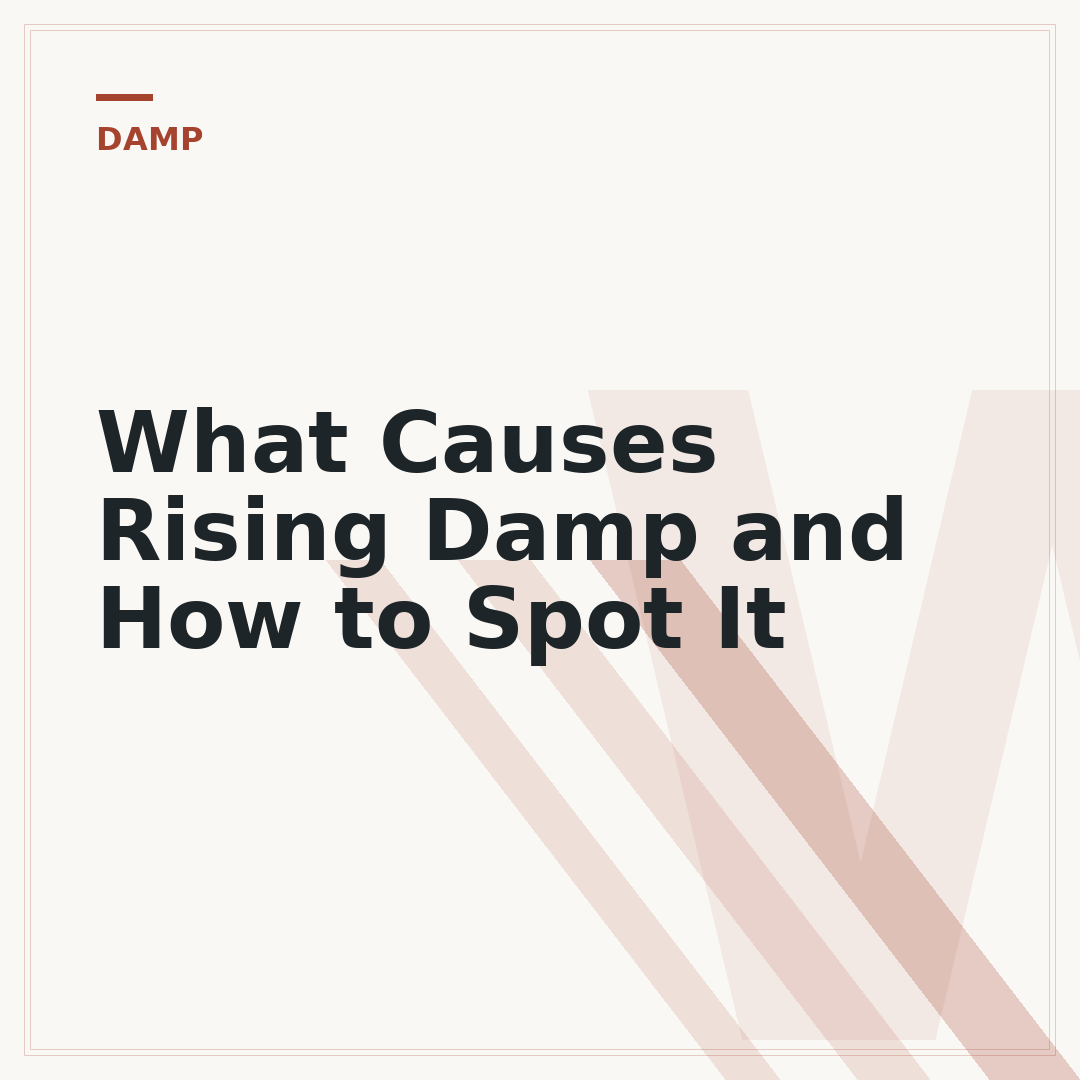 What Causes Rising Damp and How to Spot It
