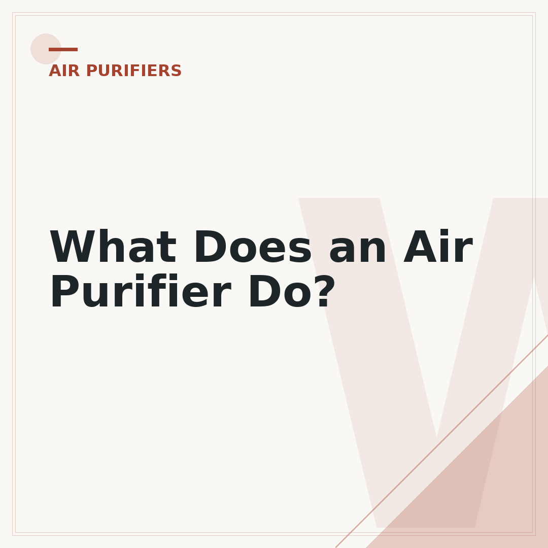 What Does an Air Purifier Do?