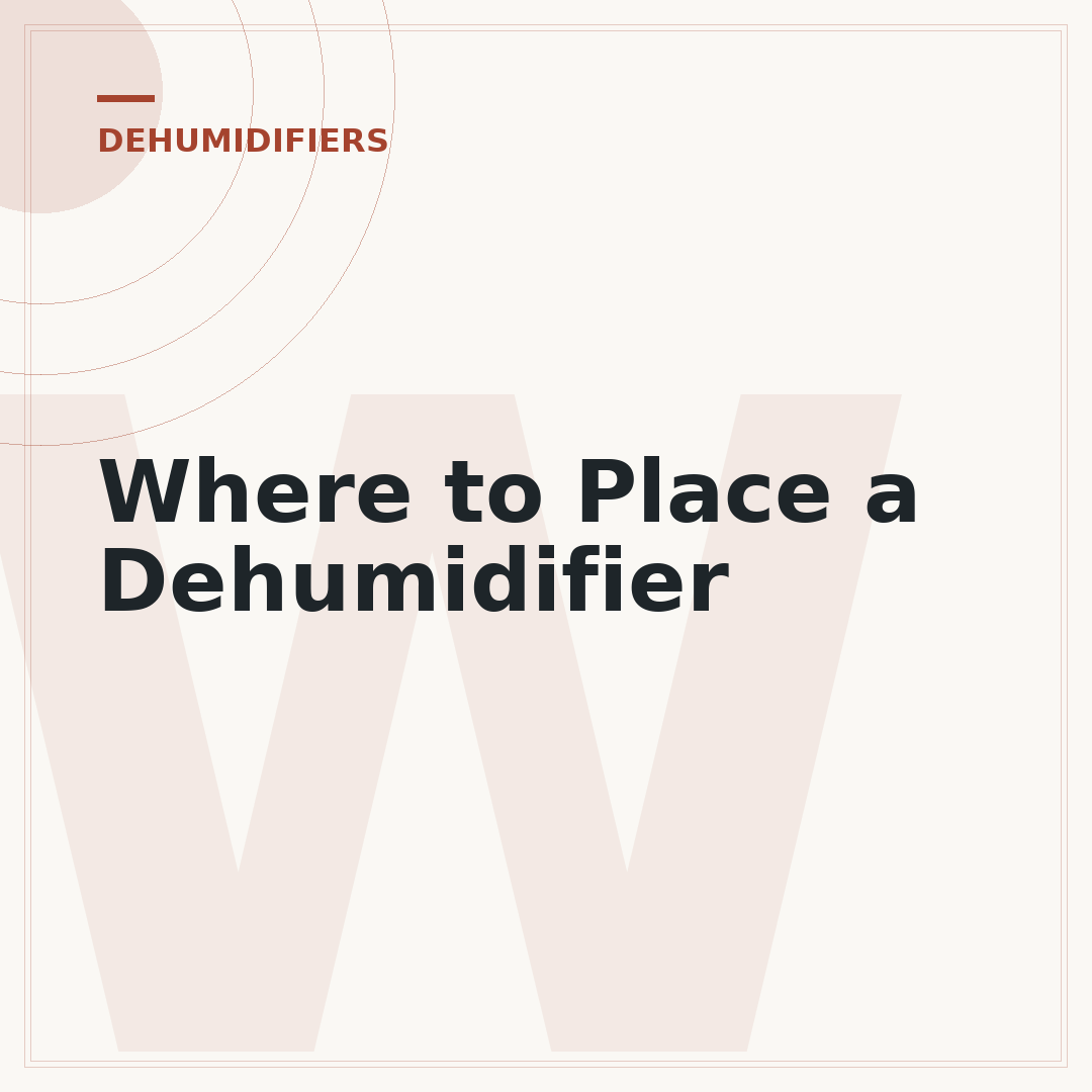 Where to Place a Dehumidifier