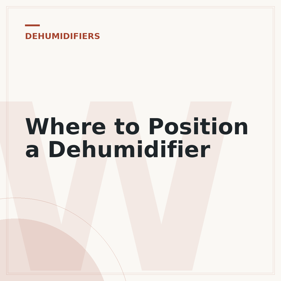 Where to Position a Dehumidifier
