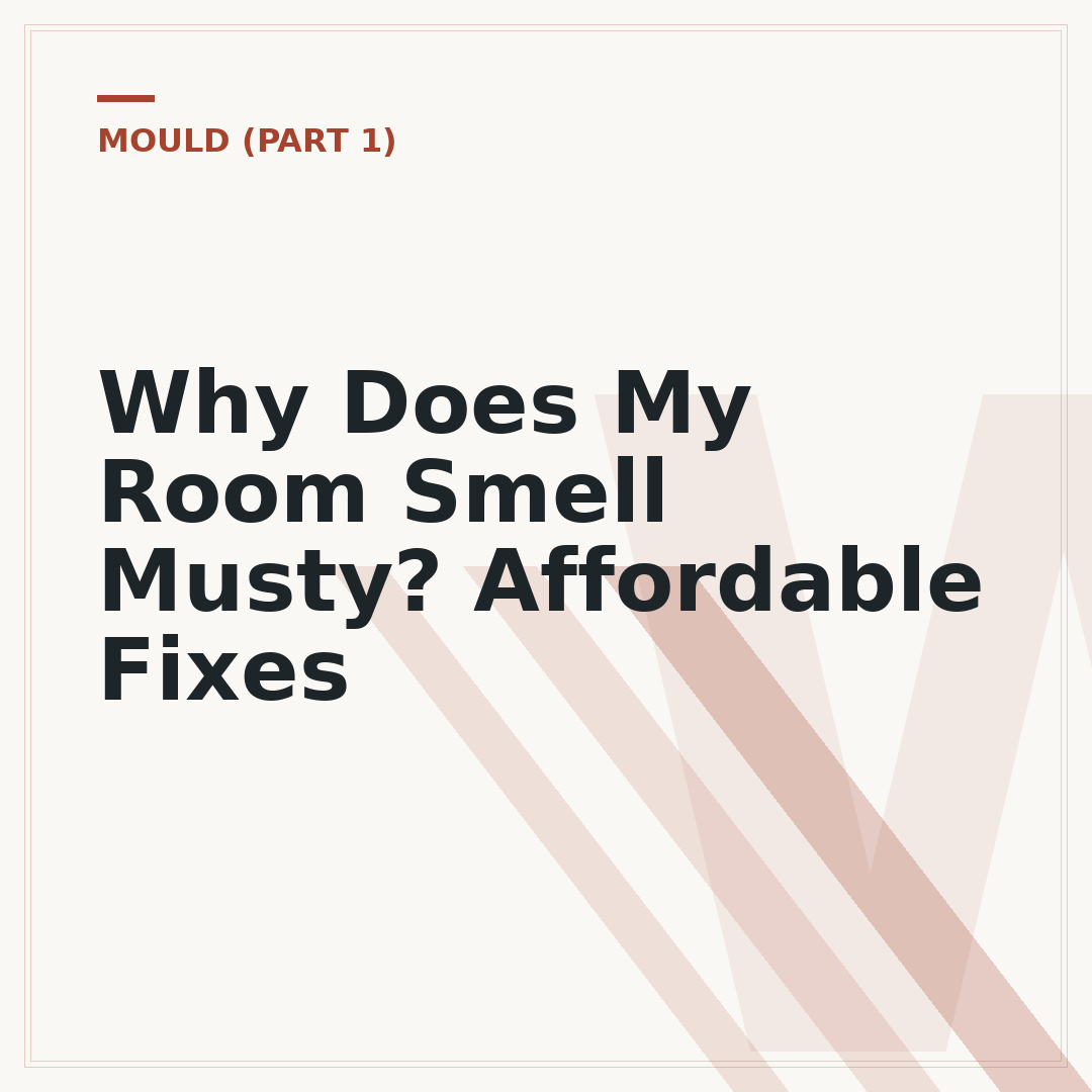 Why Does My Room Smell Musty? Affordable Fixes